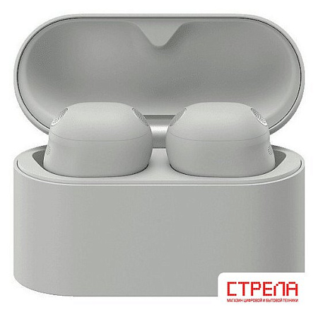 Наушники Sony WF-1000XM6 (серый)