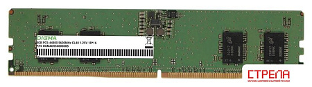 Оперативная память Digma 8ГБ DDR5 5600 МГц DGMAD55600008S
