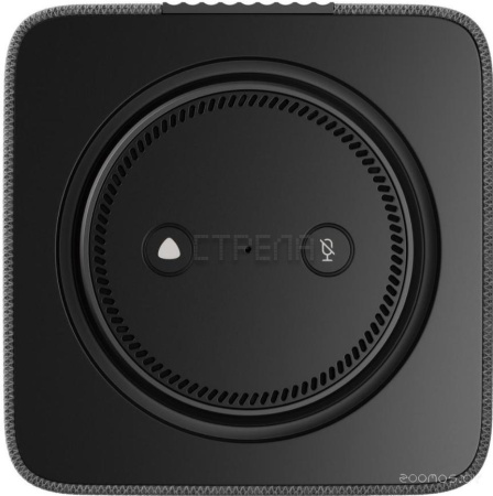 Умная колонка Яндекс Станция Макс (с хабом умного дома Zigbee, графит)