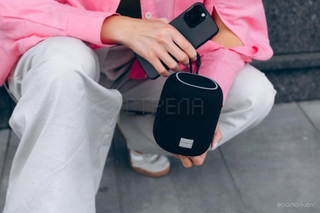 Беспроводная колонка Canyon BSP-8 (серый)