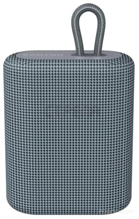 Беспроводная колонка Canyon CNE-CBTSP4DG