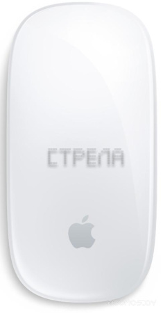 Мышь Apple Magic Mouse USB-C (белый)
