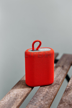 Беспроводная колонка Canyon CNE-CBTSP4BL