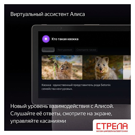 Колонка с умным дисплеем Яндекс Станция Дуо Макс (бежевый)
