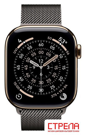 Умные часы Apple Watch Series 11 LTE 42 мм (титановый корпус, золотистый/сланец, миланская петля)