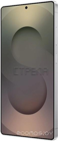 Смартфон Samsung Galaxy S25 Ultra SM-S938B 12GB/512GB (серый титан)