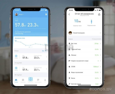 Напольные весы Picooc S3 Lite V2