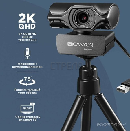 Веб-камера Canyon CNS-CWC6N