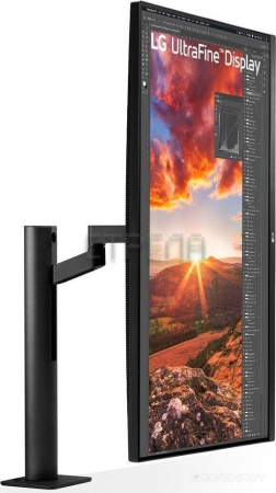 Монитор LG UltraFine 32UN880K-B