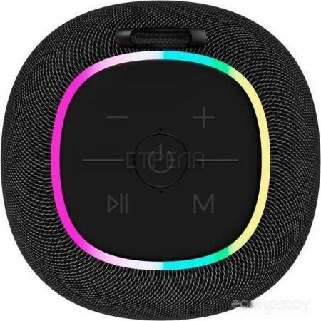 Беспроводная колонка Canyon BSP-8 (черный)