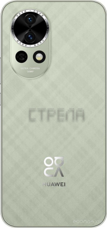Смартфон Huawei nova 13 BLK-LX9 12GB/512GB (дымчатый зеленый)