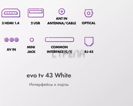 Телевизор Evo TV 43 White TD0051750RU