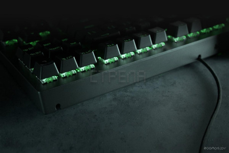 Клавиатура RAZER BlackWidow V3 Tenkeyless Green Switch