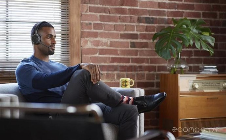 Наушники Plantronics Voyager B4210 USB-A