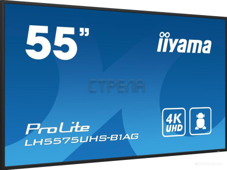 Информационная панель IIYAMA ProLite LH5575UHS-B1AG