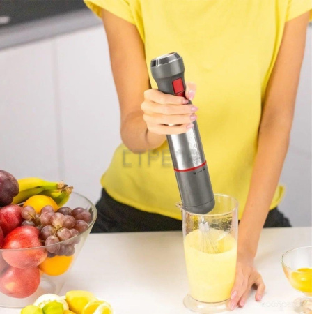 Погружной блендер Zelmer ZHB4650