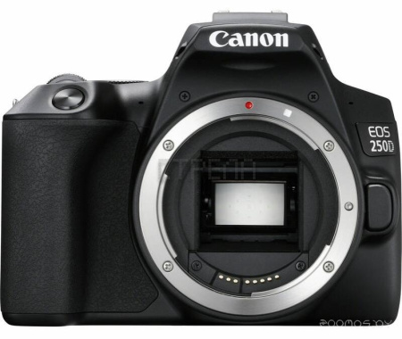 Фотоаппарат Canon EOS 250D Kit 18-55 IS STM (Black) (3454C002)