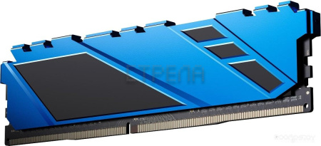 Оперативная память Netac Shadow 16ГБ DDR4 2666 МГц NTSDD4P26SP-16B