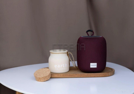 Беспроводная колонка Canyon BSP-8 (серый)