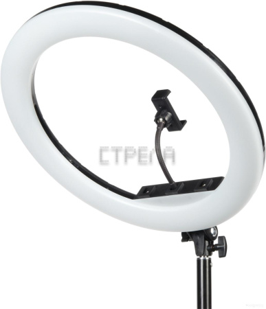 Кольцевая лампа Falcon Eyes BeautyLight 480RC LED