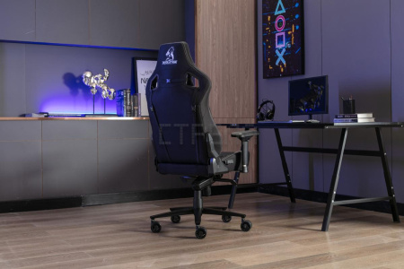 Кресло Evolution Nomad (черный/белый)