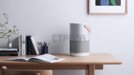 Очиститель воздуха SmartMi Air Purifier P1 ZMKQJHQP12 (серебристый)
