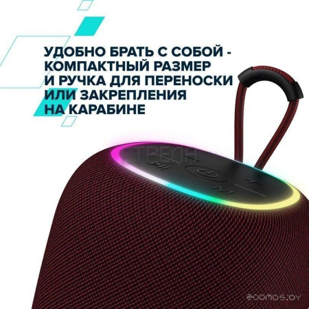 Беспроводная колонка Canyon BSP-8 (серый)