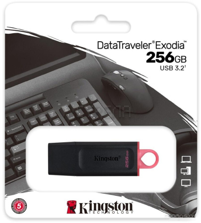 USB Flash Kingston Exodia 256GB