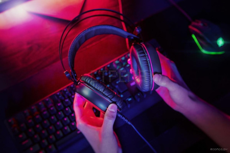 Наушники Niceboy Oryx X210 Donuts