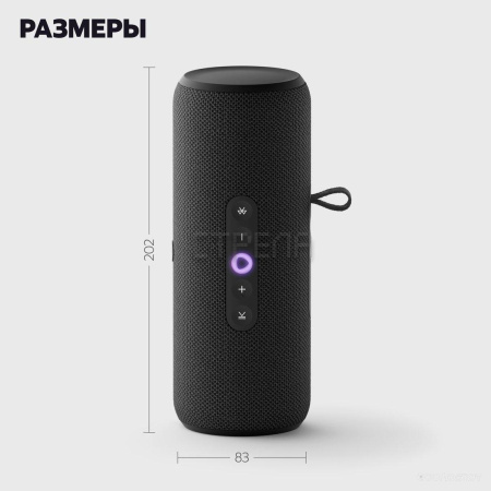 Умная колонка Яндекс Станция Стрит (черный)