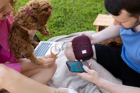 Беспроводная колонка Canyon BSP-8 (серый)