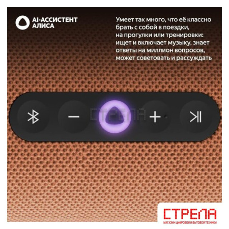 Умная колонка Яндекс Станция Стрит (оранжевый)