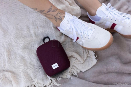 Беспроводная колонка Canyon BSP-8 (серый)