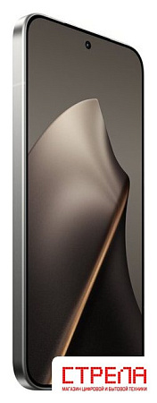 Телефон Xiaomi 15T Pro 12GB/256GB международная версия (серый, без з/у)