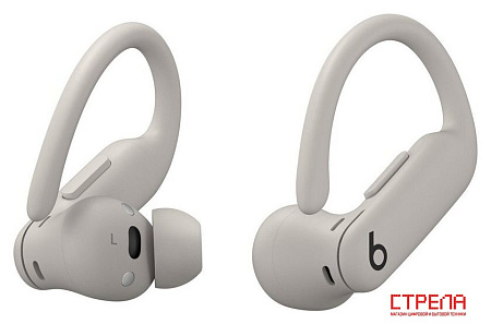 Наушники Beats Powerbeats Pro 2 (серый)