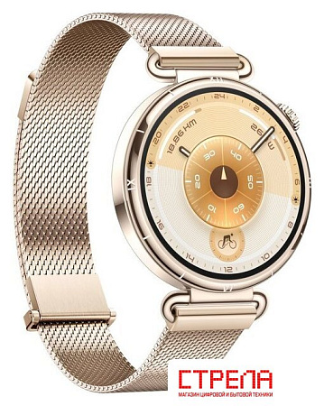 Умные часы Huawei Watch GT 6 41 мм (золотистый, с золотистым миланским браслетом, международная версия)