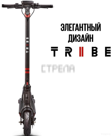 Электросамокат Tribe Maya (черный)
