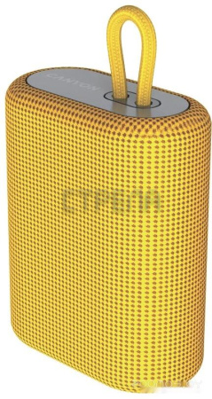 Беспроводная колонка Canyon CNE-CBTSP4Y