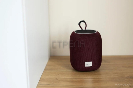 Беспроводная колонка Canyon BSP-8 (серый)