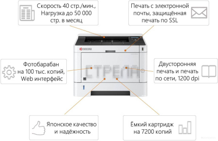 Принтер Kyocera ECOSYS P2040dn (1102RX3NL0)