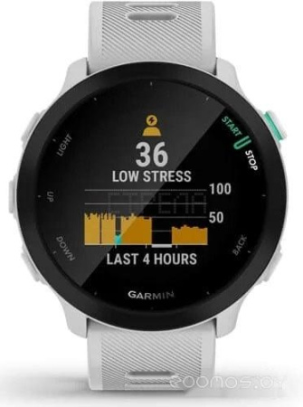 Умные часы Garmin Forerunner 55 (белый)