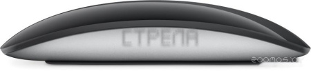 Мышь Apple Magic Mouse (черный)