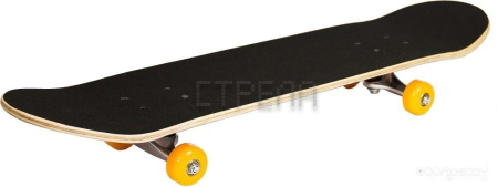 Скейтборд ATEMI ASB31D01 31x8