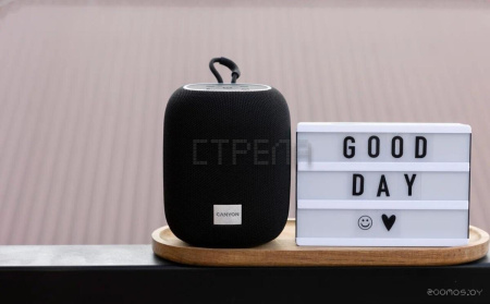 Беспроводная колонка Canyon BSP-8 (серый)