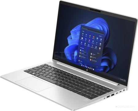 Ноутбук HP ProBook 450 G10 816J2EA