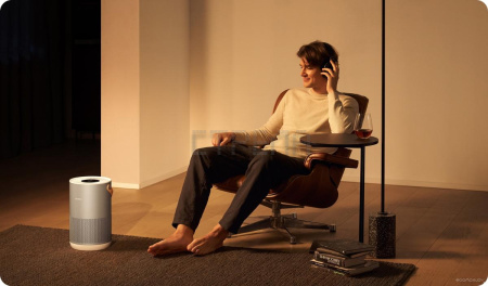 Очиститель воздуха SmartMi Air Purifier P1 ZMKQJHQP12 (серебристый)