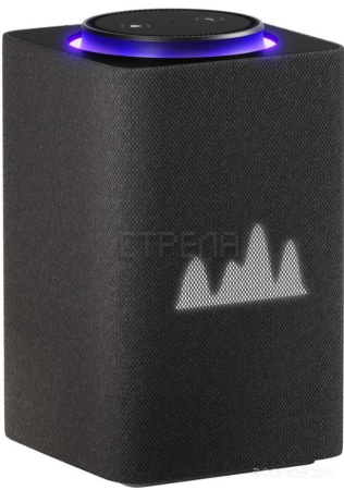 Умная колонка Яндекс Станция Макс (с хабом умного дома Zigbee, графит)