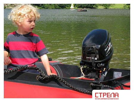 Лодочный мотор Parsun T9.8 BMS