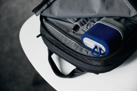 Беспроводная колонка Canyon CNE-CBTSP4BL