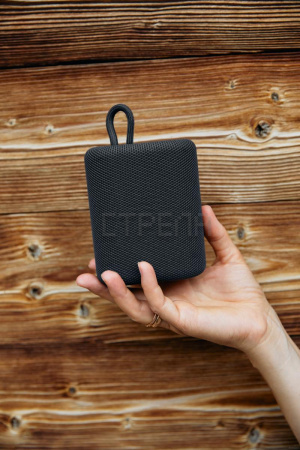 Беспроводная колонка Canyon CNE-CBTSP4BL